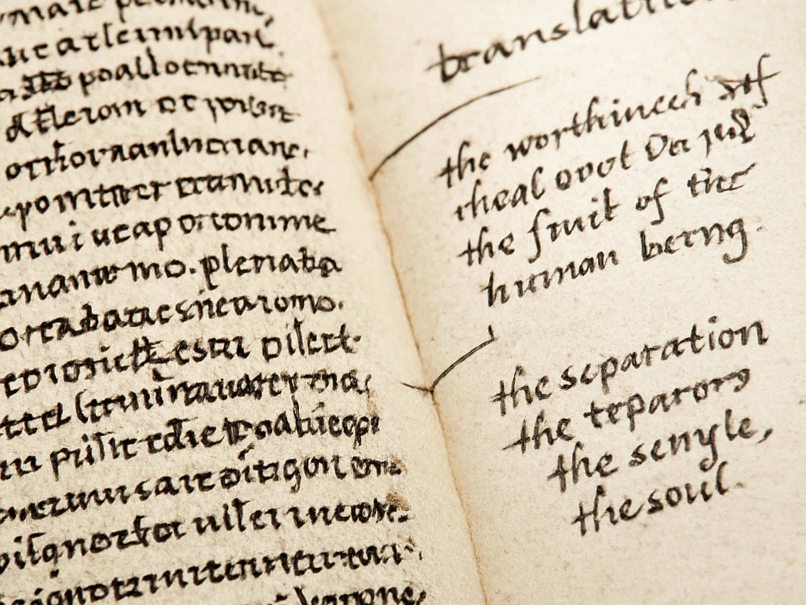 Publishing & Literary Translation detail